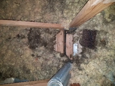 Poor Insulation In Attic