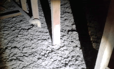 Blown Cellulose Insulation