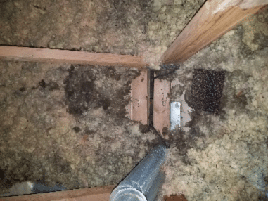 Poor insulation in apartment building